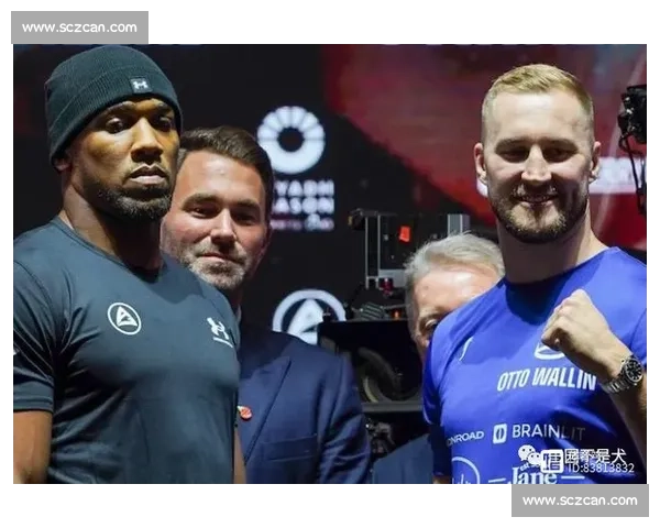 约书亚对决帕克全场视频回顾重量级拳王技术与意志巅峰碰撞精彩瞬间